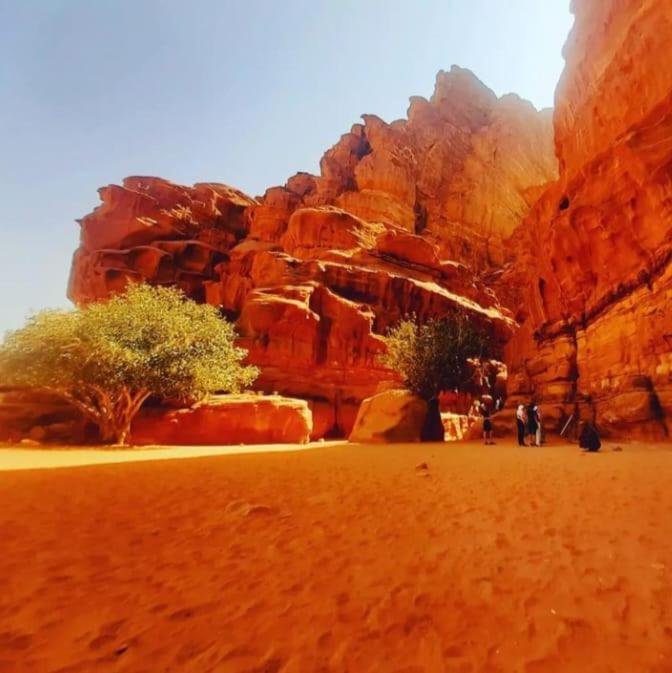 Ferienwohnung Saleem With Jeep Tour Wadi Rum Exterior foto